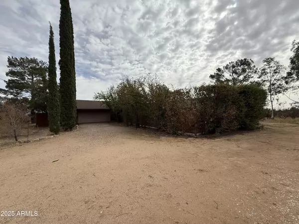 6265 S CALLE DE LA MENTA --, Hereford, AZ 85615