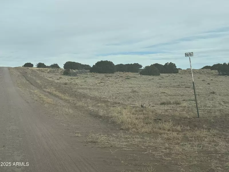 107108 Elk Valley Ranch -- #107 &108, St Johns, AZ 85936