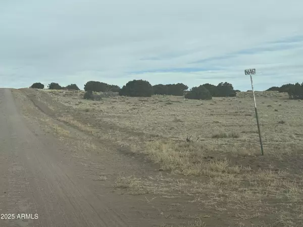 St Johns, AZ 85936,107108 Elk Valley Ranch -- #107 &108