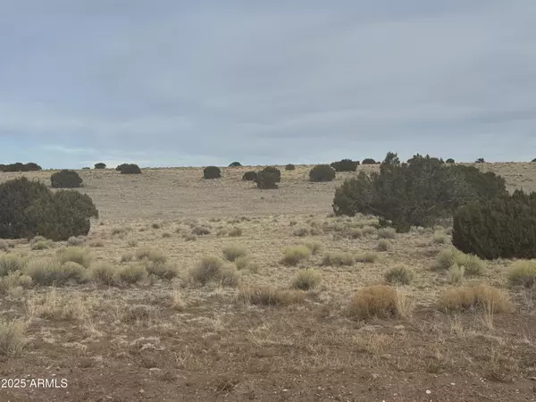 St Johns, AZ 85936,107108 Elk Valley Ranch -- #107 &108