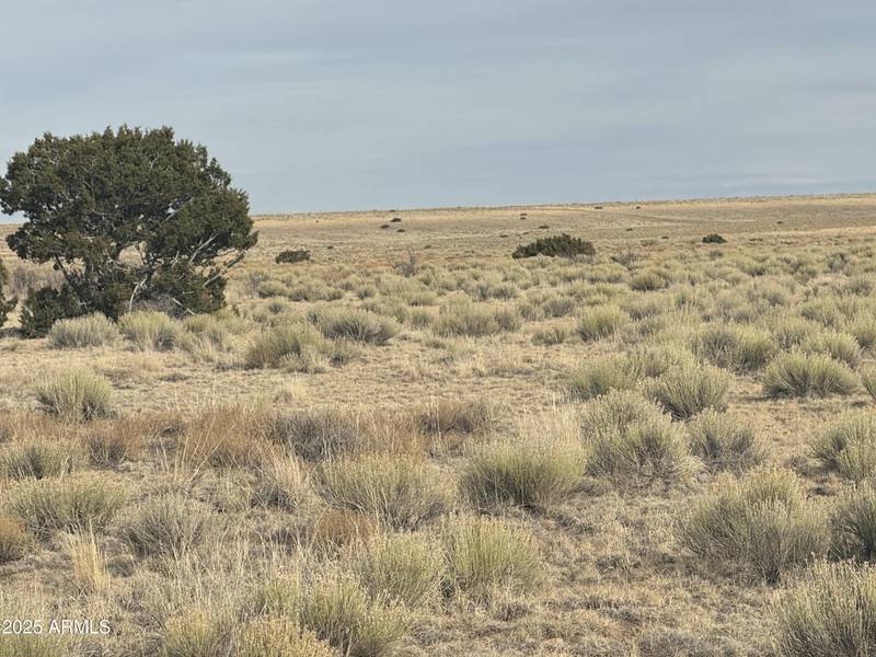 107108 Elk Valley Ranch -- #107 &108, St Johns, AZ 85936