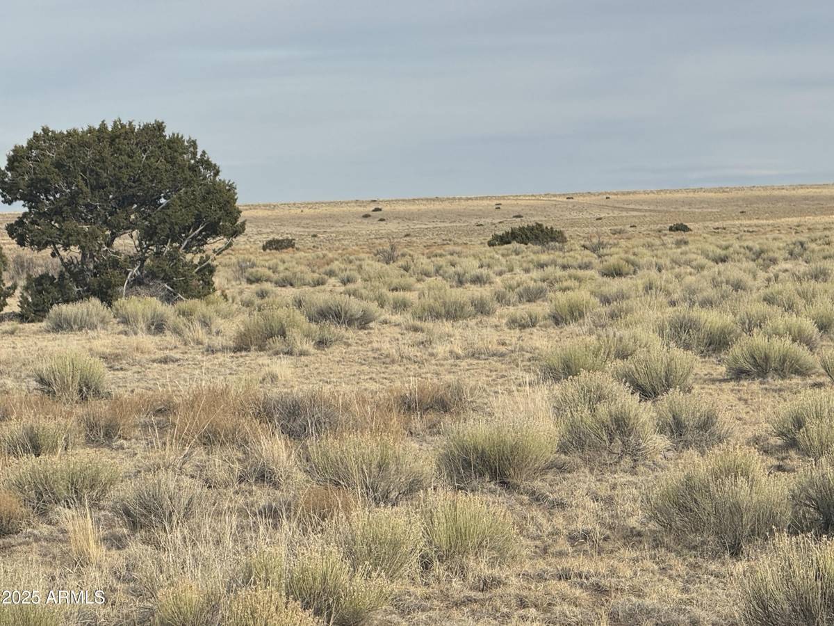 St Johns, AZ 85936,107108 Elk Valley Ranch -- #107 &108