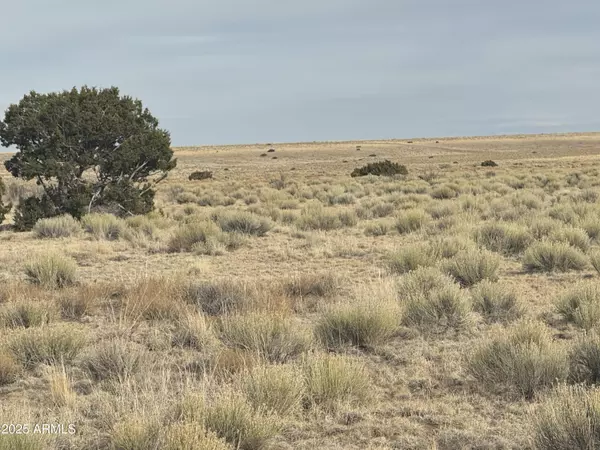 107108 Elk Valley Ranch -- #107 &108, St Johns, AZ 85936