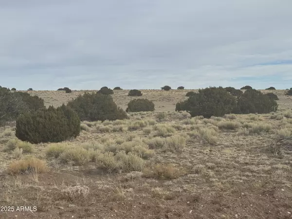 St Johns, AZ 85936,107108 Elk Valley Ranch -- #107 &108