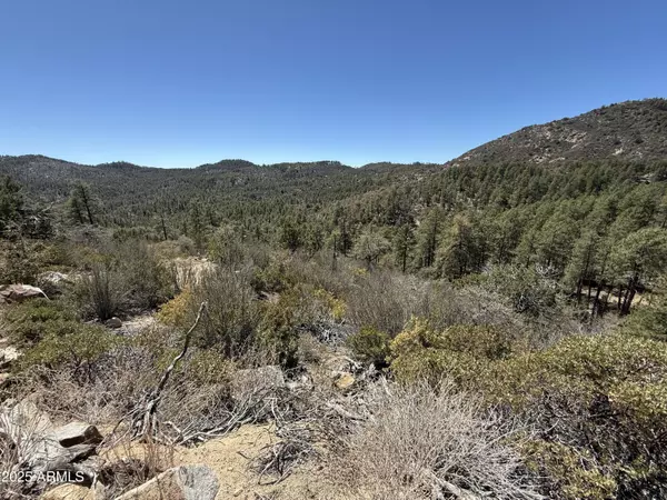 Crown King, AZ 86343,E Privateer Road #-