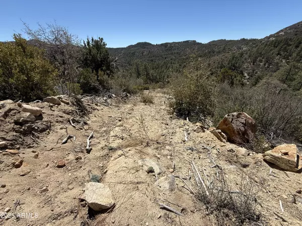 Crown King, AZ 86343,E Privateer Road #-