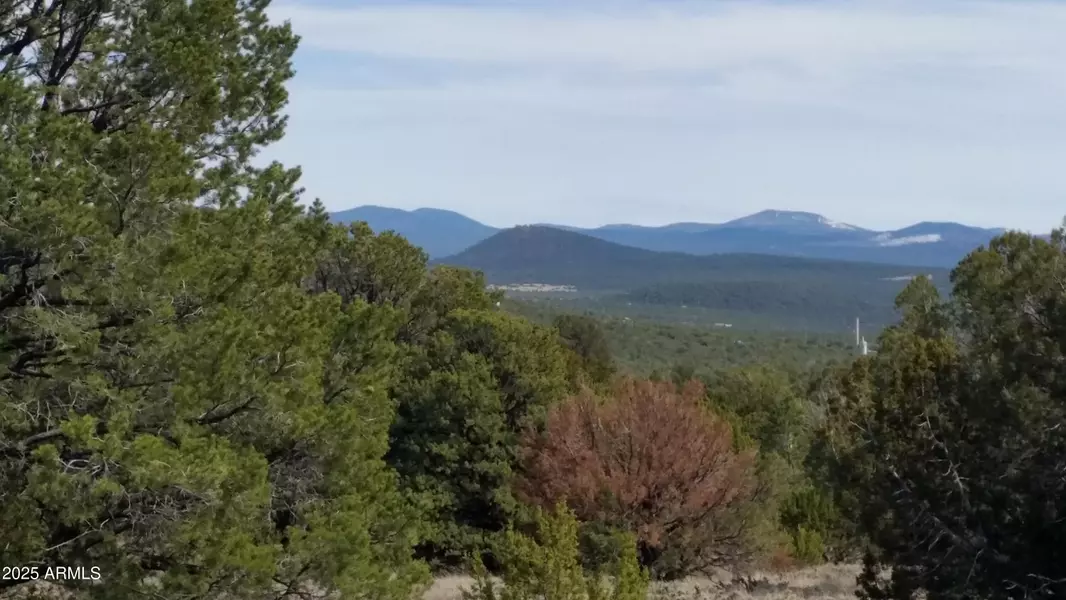 20 Mountain Pine Road #20, Vernon, AZ 85940