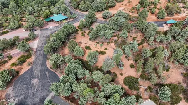 Pine, AZ 85544,1061 S FOX HAT Trail #7