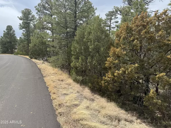 Show Low, AZ 85901,40 TIMBER RIDGE Loop #40