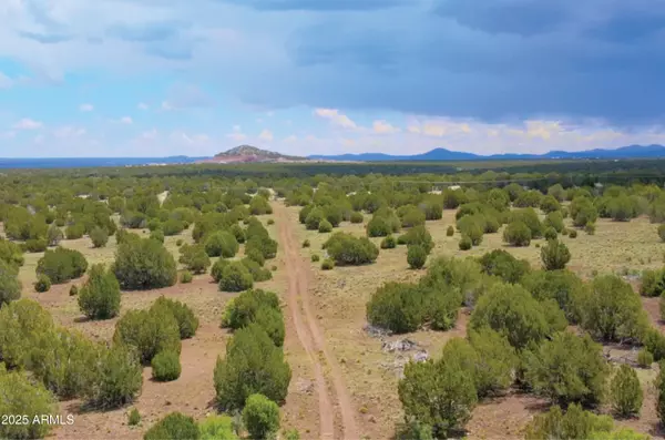 Show Low, AZ 85901,Silver Lake Blvd Lot 5 8.16 Ac -- #-