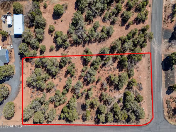 Show Low, AZ 85901,6745 CHENEY RANCH Loop #28