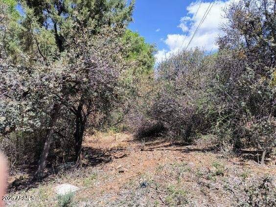 Prescott, AZ 86303,1700 N ROSE QUARTZ Drive #426