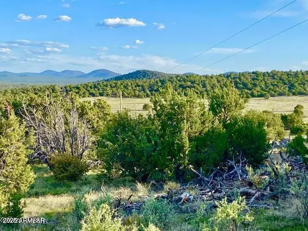 Vernon, AZ 85940,N3208 Lots C & D 19.62 Acres -- #-