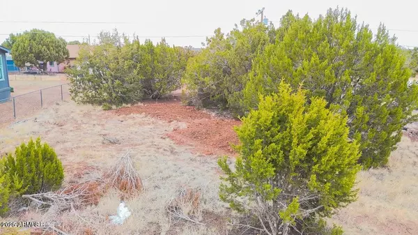 8342 Snowflake Circle #-, Show Low, AZ 85901