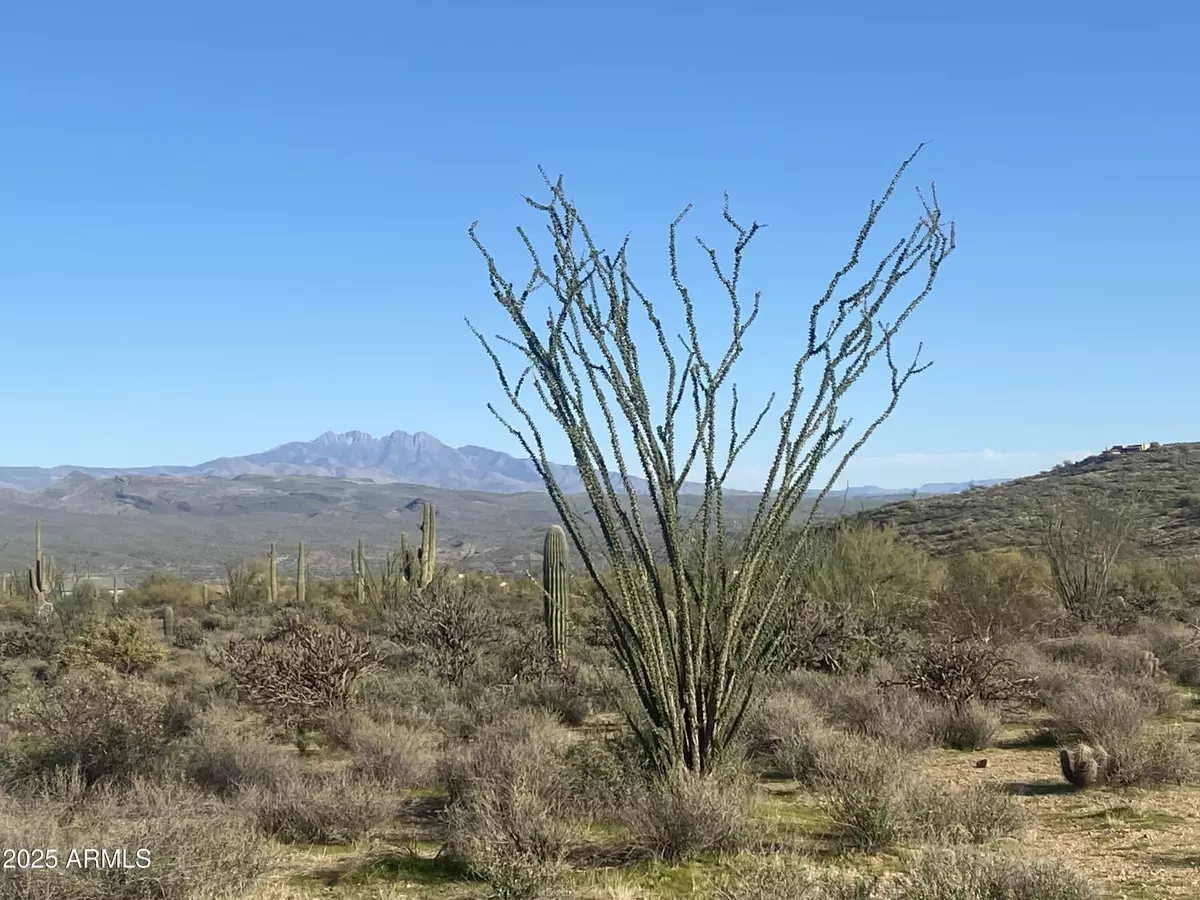 Rio Verde, AZ 85263,0 N 170 Streets #-/-/-