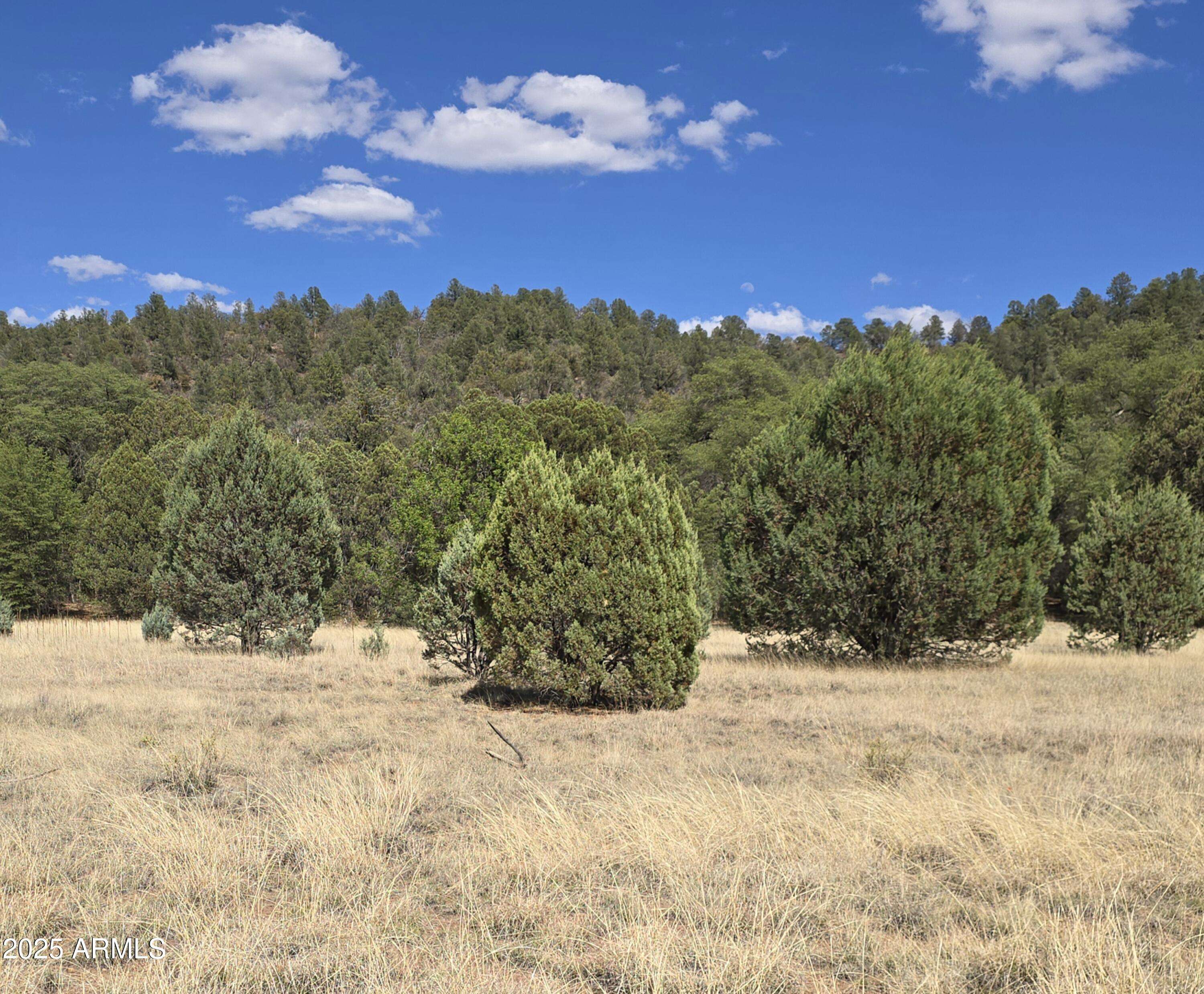 Young, AZ 85554,772 E NAEGELIN XING Crossing #31