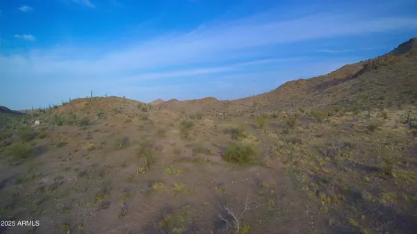 Queen Valley, AZ 85118,9 N Elephant Butte Road #F