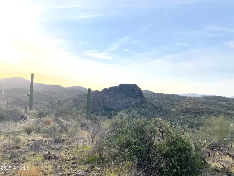 9 N Elephant Butte Road #J, Queen Valley, AZ 85118