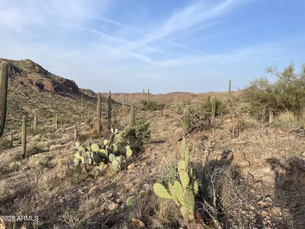Queen Valley, AZ 85118,9 N Elephant Butte Road #J