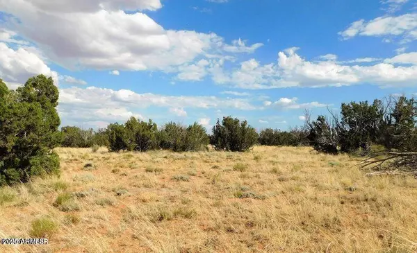 Heber, AZ 85928,6251 Dry Pasture Run Lot 216 -- #216