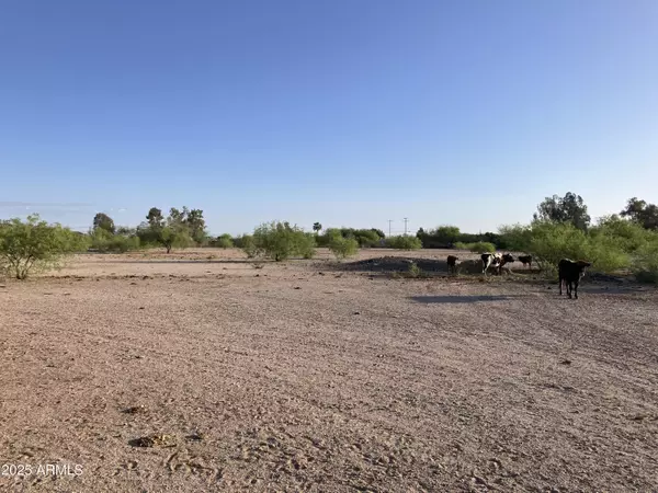 Picacho, AZ 85141,18380 S PICACHO Highway #0