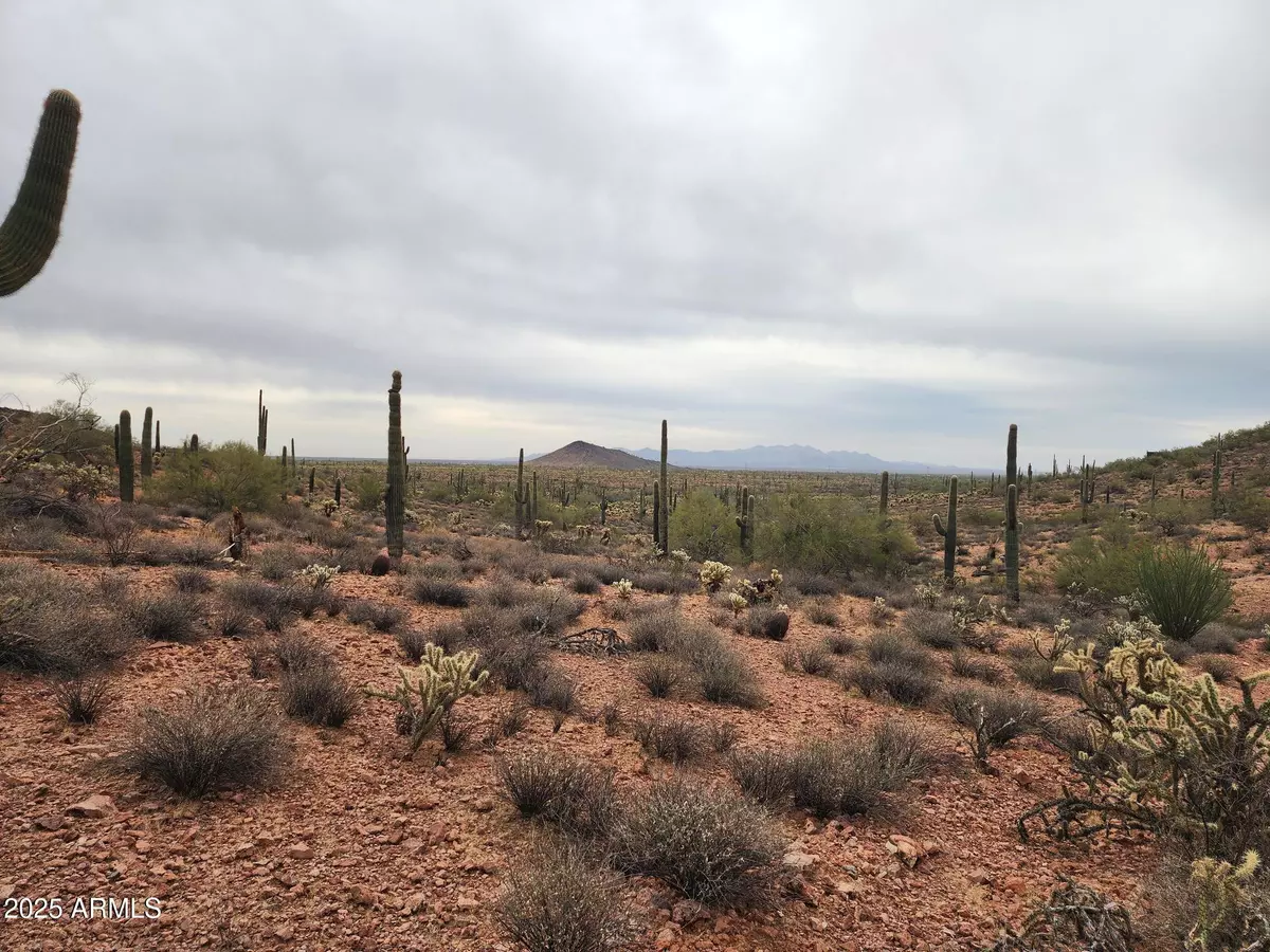 Wittmann, AZ 85361,0 W Black Mountain Road #94
