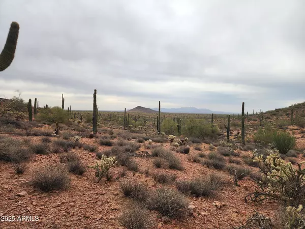 0 W Black Mountain Road #94, Wittmann, AZ 85361