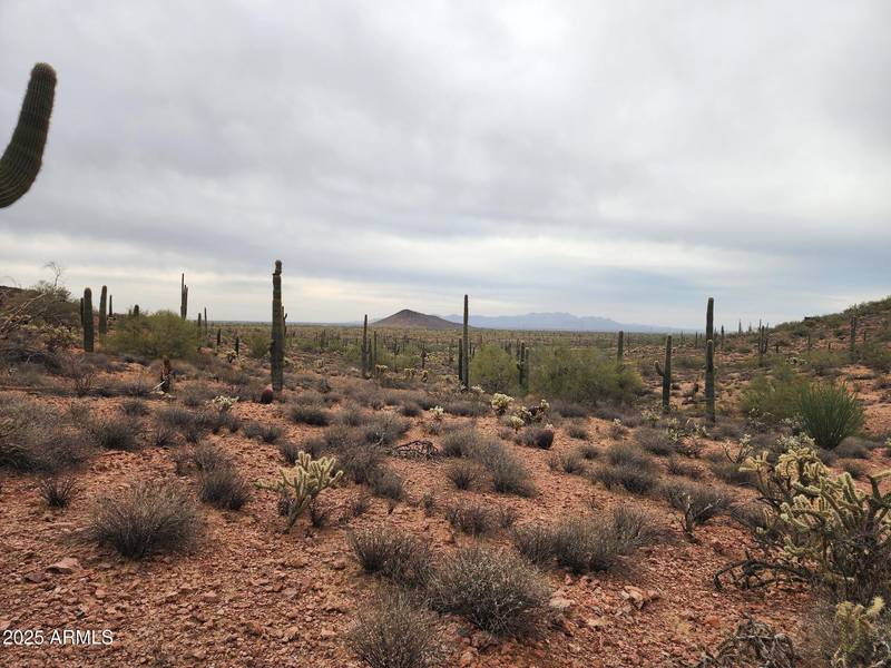 0 W Black Mountain Road #94, Wittmann, AZ 85361
