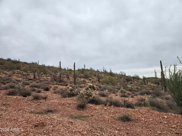 Wittmann, AZ 85361,0 W Black Mountain Road #94