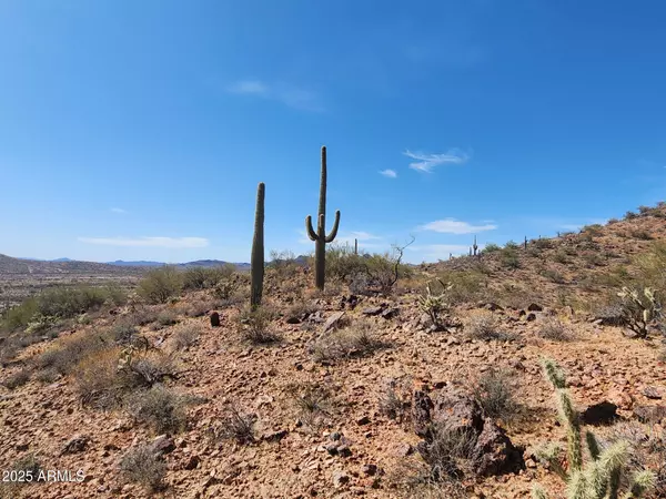 Wittmann, AZ 85361,0 W Black Mountain Road #94