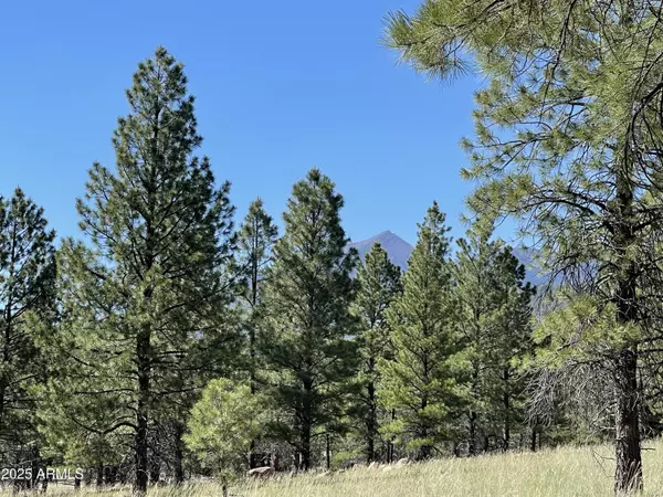 Flagstaff, AZ 86001,0 N San Francisco Street #-