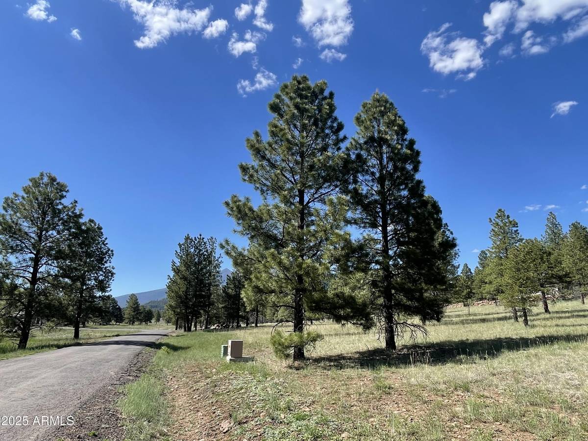 Flagstaff, AZ 86001,0 N San Francisco Street #-