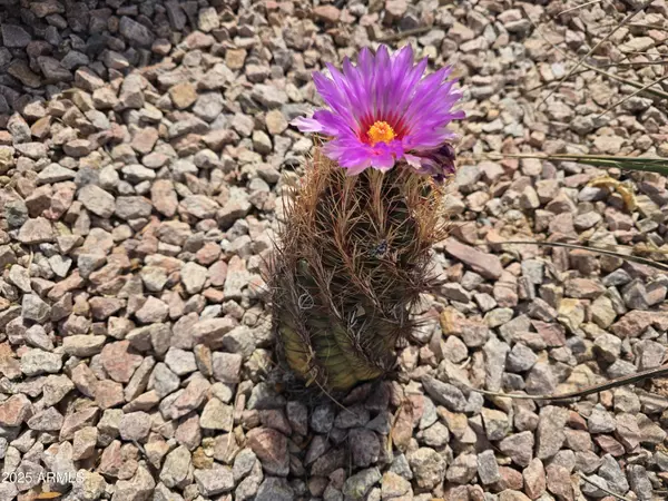 Glendale, AZ 85308,4061 W Tonopah Drive