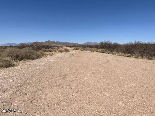 Willcox, AZ 85643,N Wolf Court #-