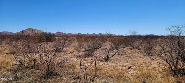 Douglas, AZ 85067,1213 E Whitaker Lane #12-13A
