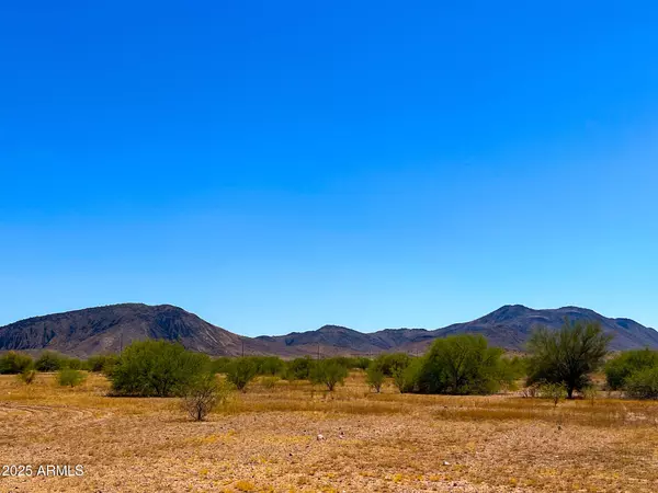 Tonopah, AZ 85354,42400 W Saddle Vista Rd Lot A 7.19 Acr -- #-