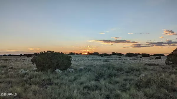 202 County Road N6451 -- #316, St Johns, AZ 85936