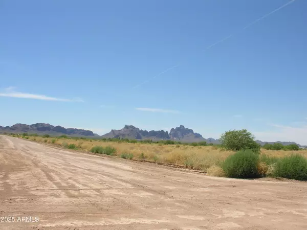 Tonopah, AZ 85354,10000 S 540TH Avenue #214