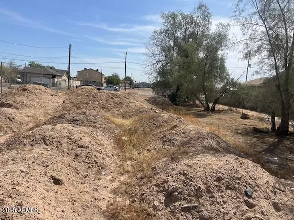 Phoenix, AZ 85007,1240 S 14th Avenue #36