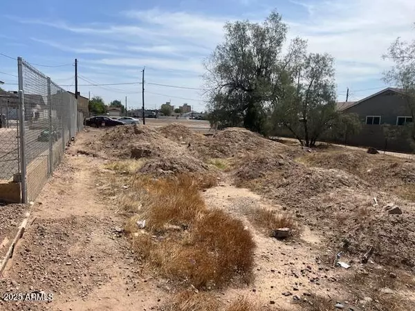 Phoenix, AZ 85007,1240 S 14th Avenue #36