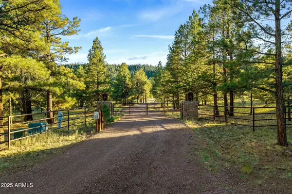 Greer, AZ 85927,7 N COUNTY ROAD N1332 -- #46