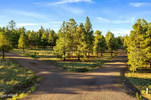 Greer, AZ 85927,7 N COUNTY ROAD N1332 -- #46