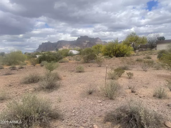 Apache Junction, AZ 85119,0 S Roadrunner Road #-