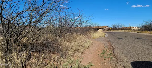 Bisbee, AZ 85603,3334 Santa Cruz Drive #33