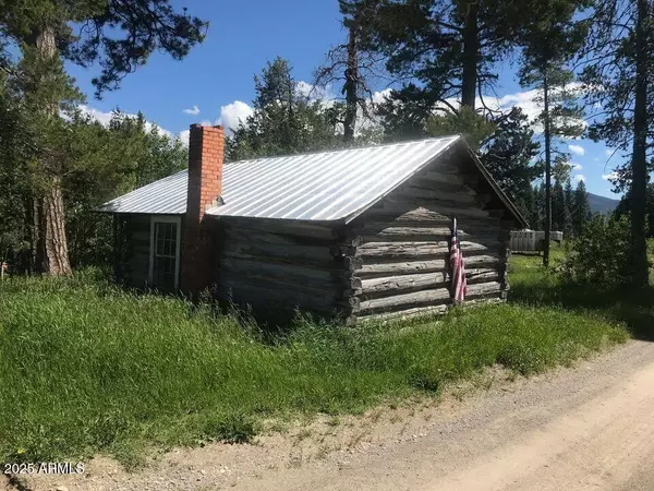 Williams, AZ 86046,33 N Crookton Road #33