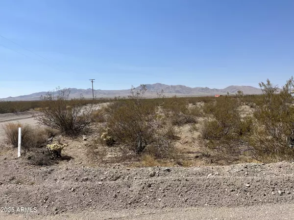 Dolan Springs, AZ 86441,N Coyote Road #77