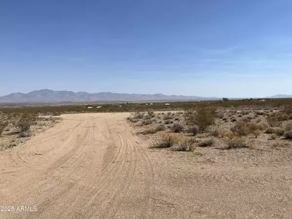 Dolan Springs, AZ 86441,N Coyote Road #78