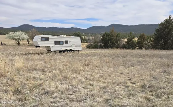 Young, AZ 85554,20 S COHEA Lane #C