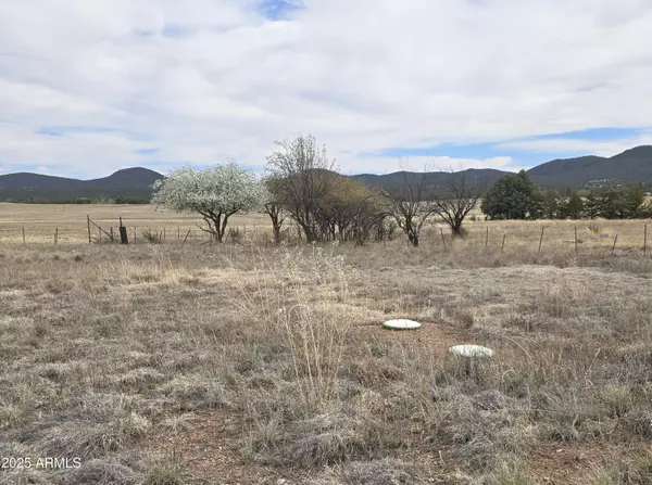 Young, AZ 85554,20 S COHEA Lane #C