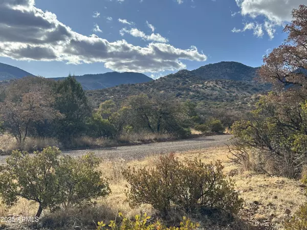 22 Old Duquesne Road #22,  Patagonia,  AZ 85624